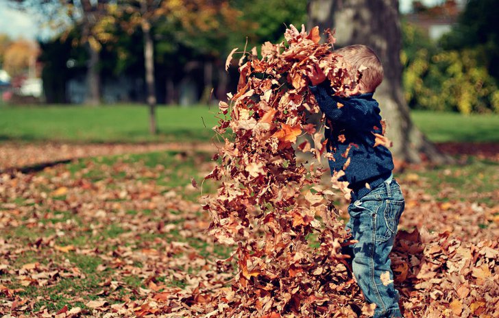 Autumn themed books and activities