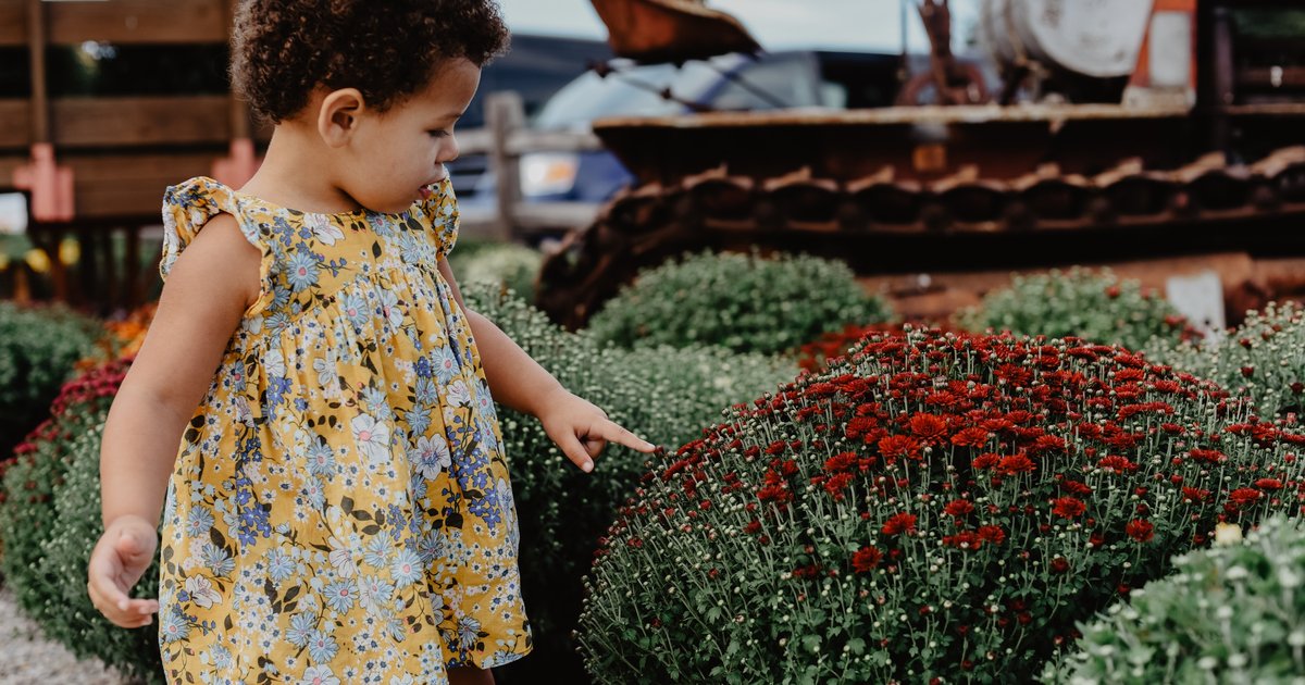 Mary, Mary, Quite Contrary nursery rhyme music and lyrics | Words for Life