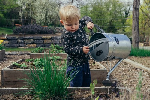 toddler and watering can